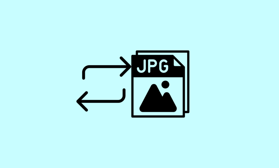 Best HEIC to JPG Converters